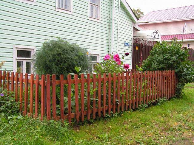 кустарники и пионы в переднем саду