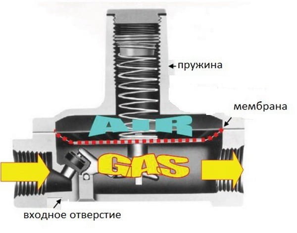 риз2