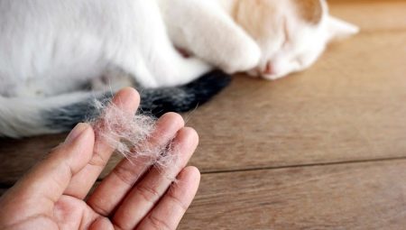 Как избавиться от кошачьей шерсти?