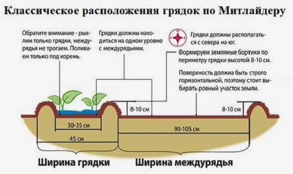 Планировка грядок по Митлайдеру.