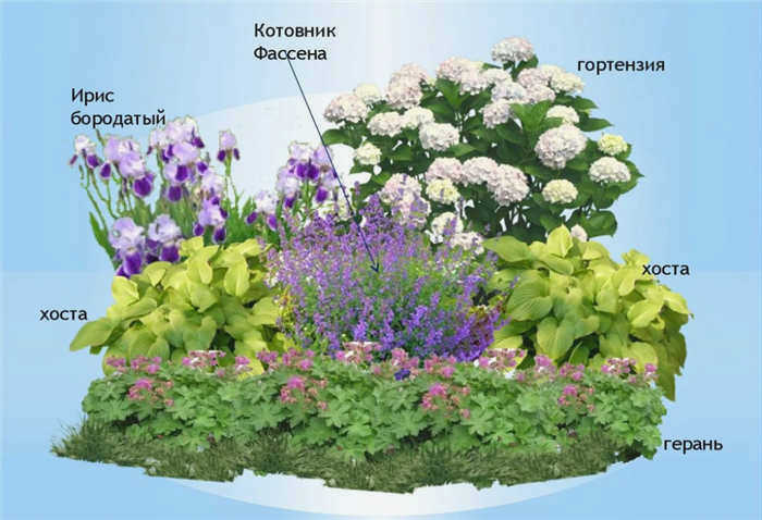 Схема посадки клумбы