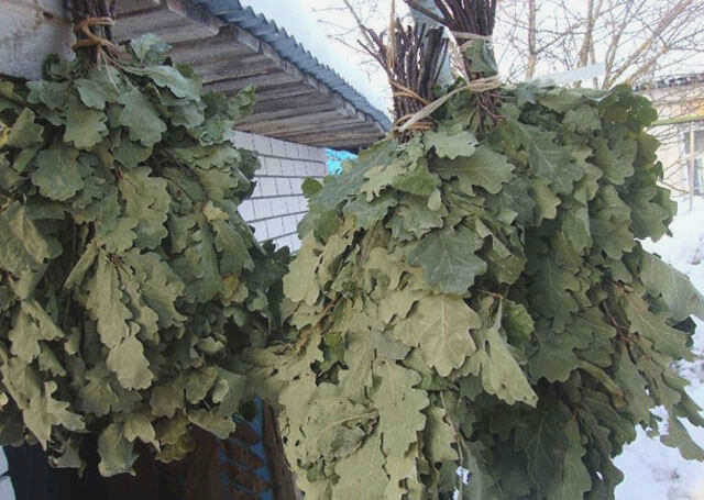как заготовить веники для бани