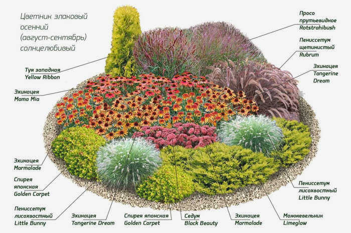 Круглая клумба с многолетниками
