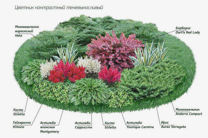 Красивая клумба с травами