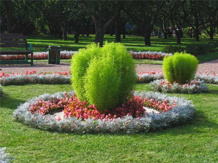 Виды клумб