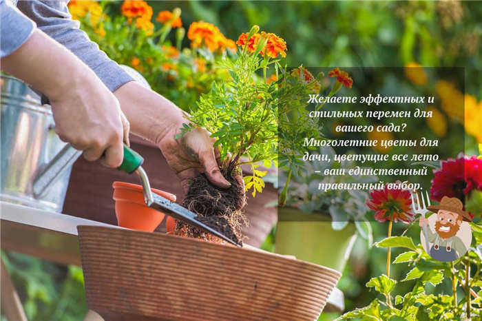 Украсить свой сад цветами очень просто