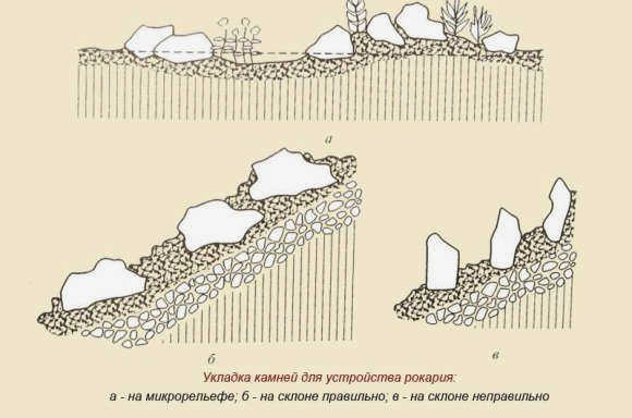 Укладка камней в каменистом саду