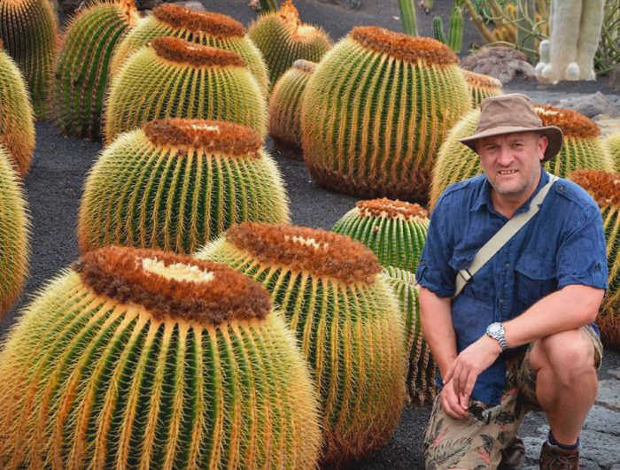 Echinocactus grusonii