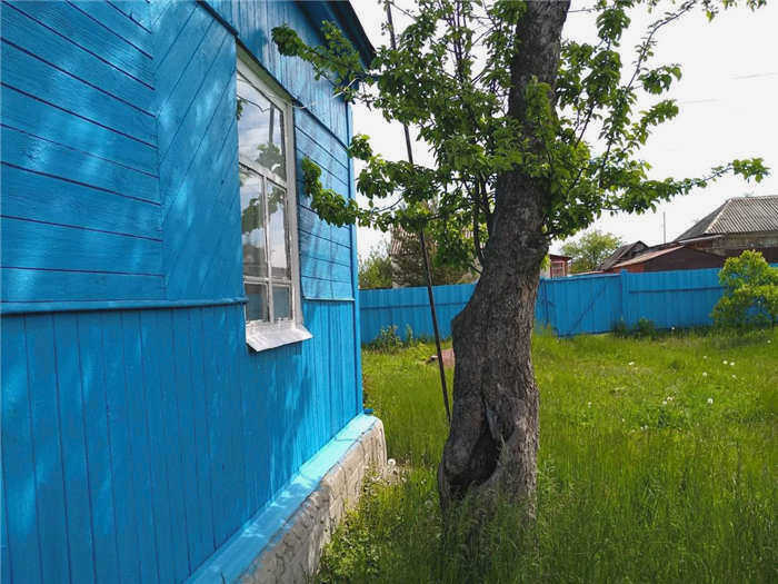Например, эта яблоня посажена слишком близко к дому, и во время урагана дуплистое дерево может упасть на крышу.
