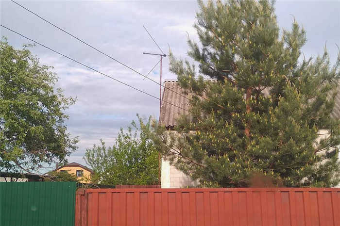 Большое дерево притягивает молнию и становится источником пожара