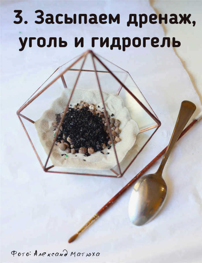мини-сады