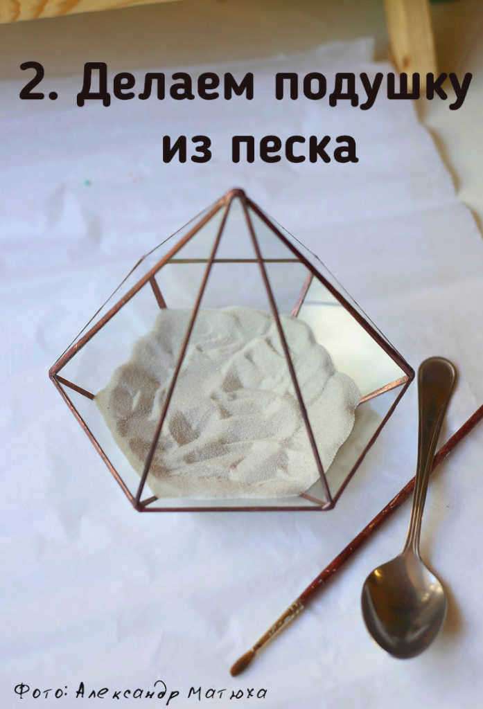 закрытый флорариум