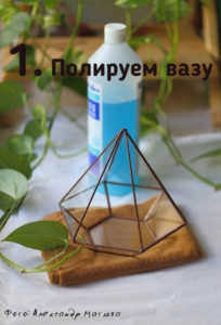 аквариумный флорариум