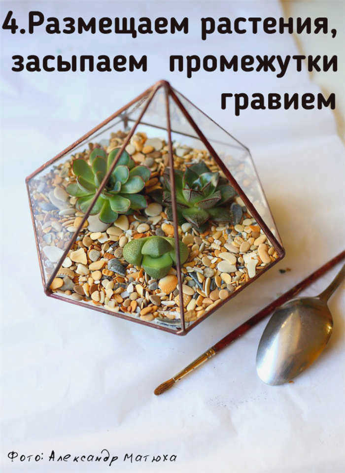 флорариум в стекле