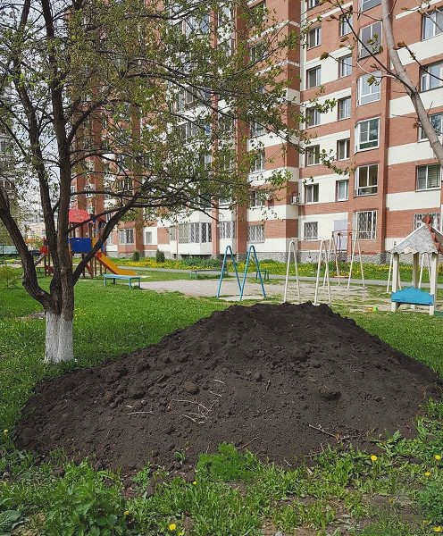 почва