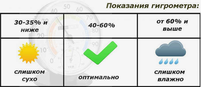 Длительная сырость является основной причиной появления черной плесени.