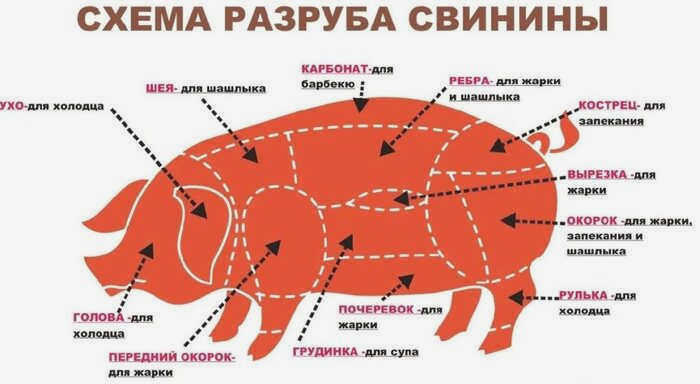 Первомайские шампуры с неправильным мясом Мясо, Кулинария, Шампуры, Первомайские шампуры (конкурс), Казан, Закуска на углях, Свинина, Барбекю, Жаркое, Угли, 1 мая, Первомайские праздники, Первомай в России, Видео, YouTube, Longpost