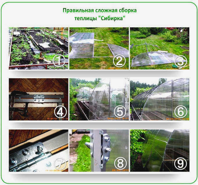 Пошаговая инструкция сборки теплицы из поликарбоната