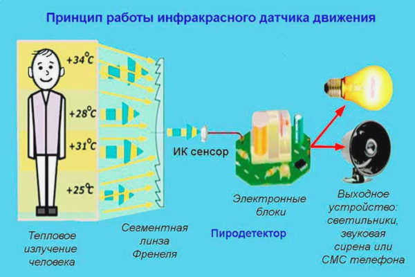 Инфракрасные датчики движения работают путем обнаружения тепла от человека.