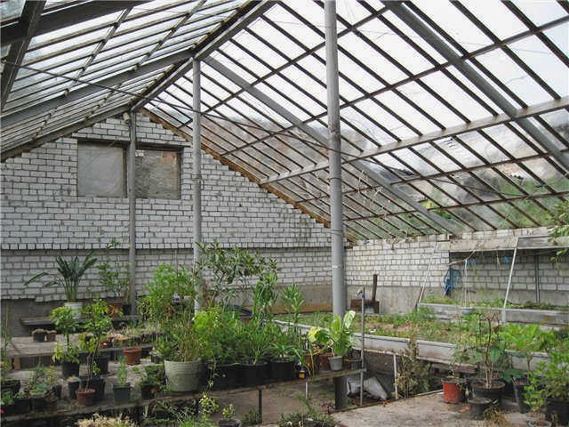 Особенности траншейной теплицы