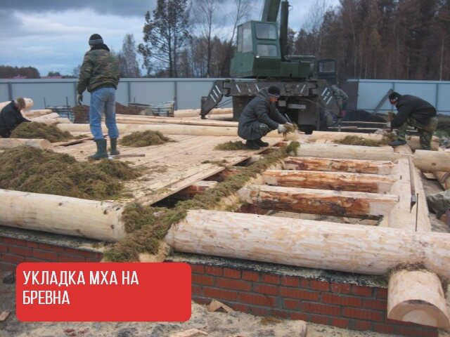 Пенька выглядит не очень эстетично.