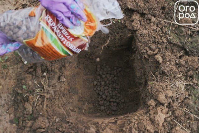 Глиняный коврик в посадочной яме