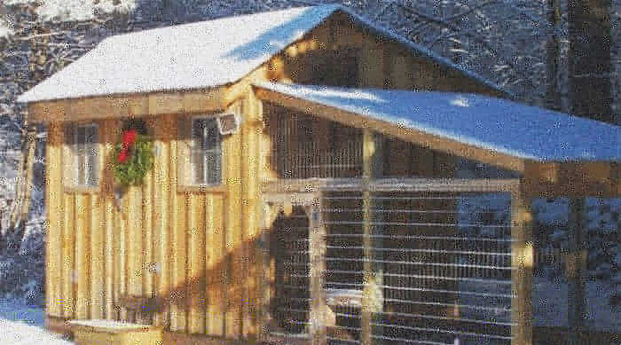 Просторный птичник 