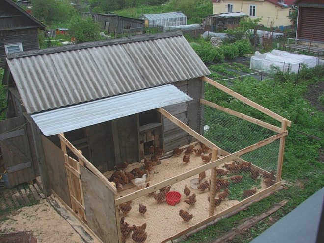 Зимний курятник на 10 кур своими руками