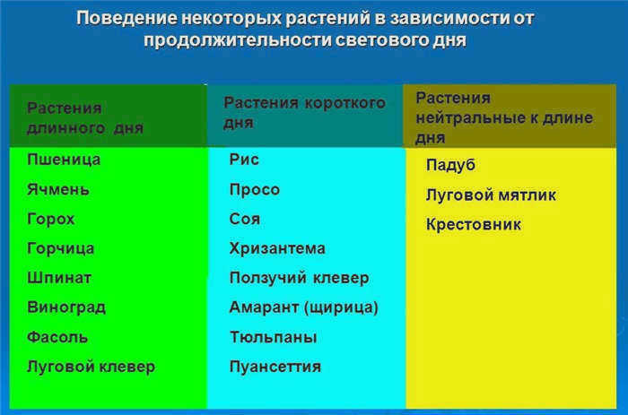 Как ведут себя некоторые растения в зависимости от длины дня
