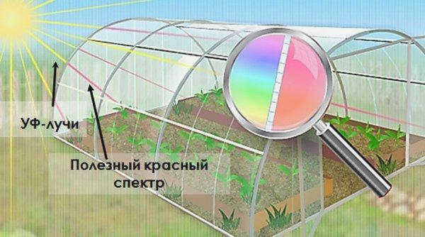 Оранжевый навес