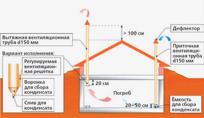 Конденсат на потолке подвала: причины, способы борьбы.