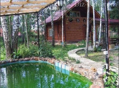Березы в саду
