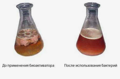 До и после биоактиватора