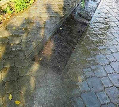 Полив почвы