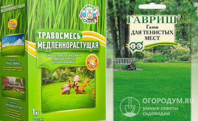 Здесь показаны семена различных травосмесей, упакованные известными национальными производителями.