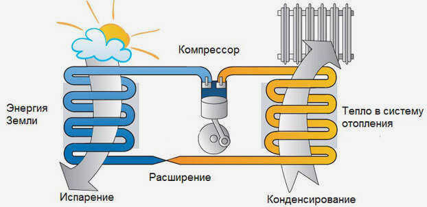 м