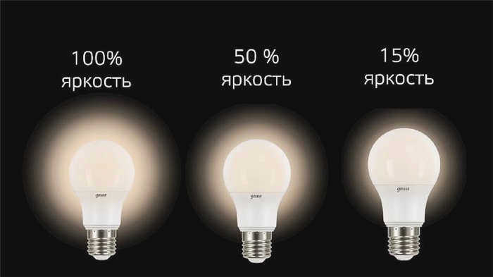 Диммер для светодиодных и галогенных ламп
