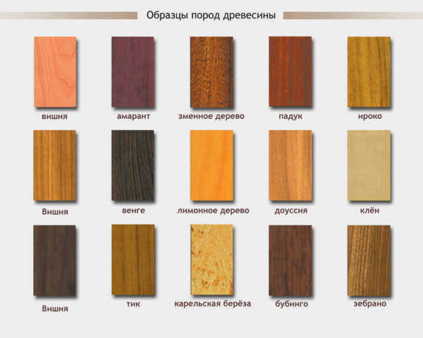 Образцы древесины
