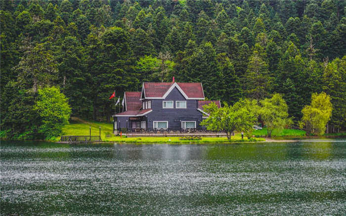 Фото: Akin Ozcanshutterstock