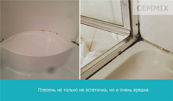 Плесень - это не только некрасиво, но и очень вредно