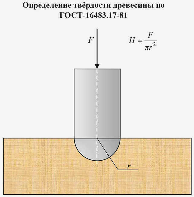 вид древесины