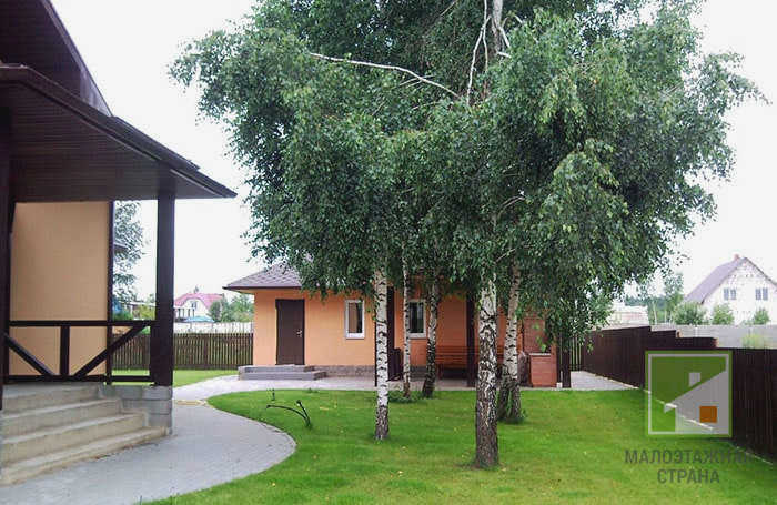 Березовая роща и травяной сад