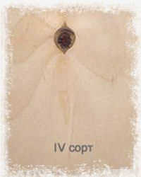 IV 