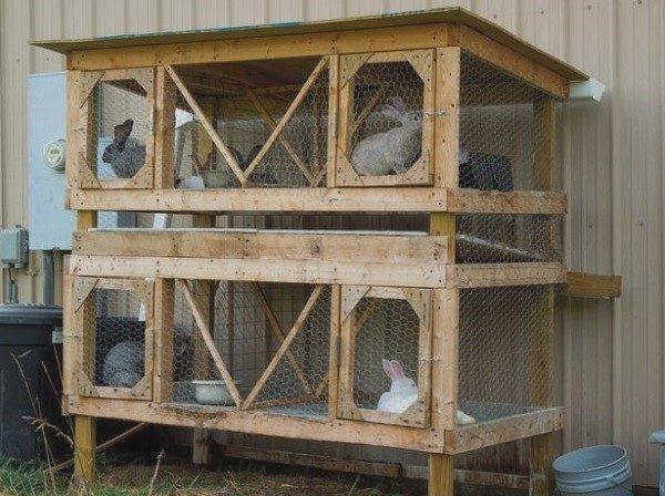 Двойная клетка