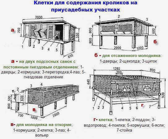 Схема клеток для кроликов