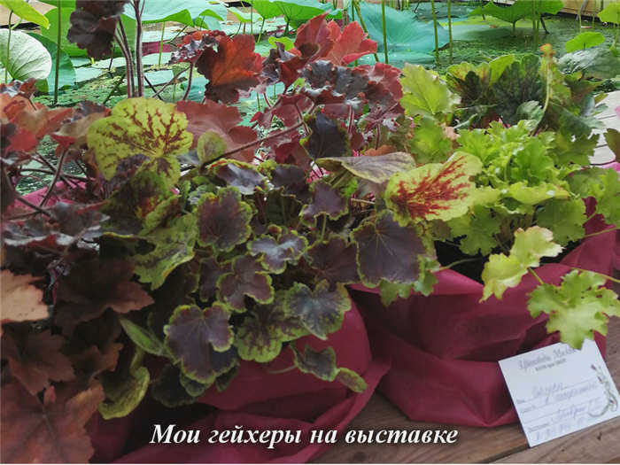 Гарантия качества, только самое высокое качество