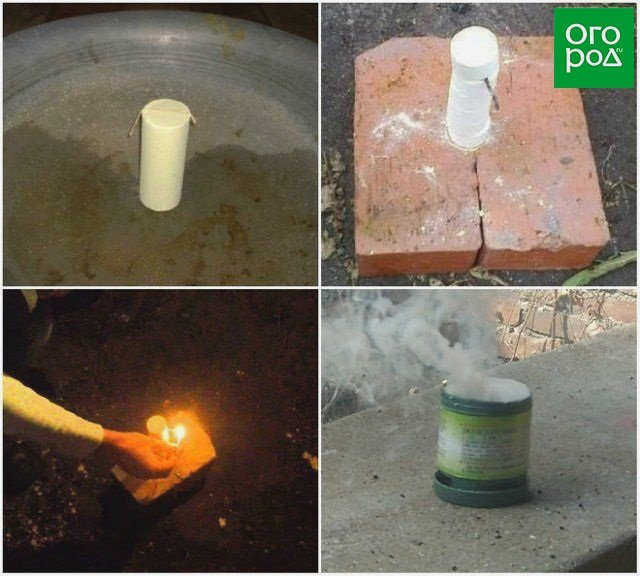 Мыши в доме