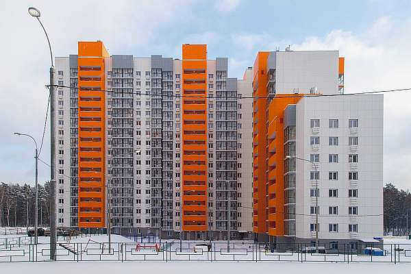 Вблизи леса