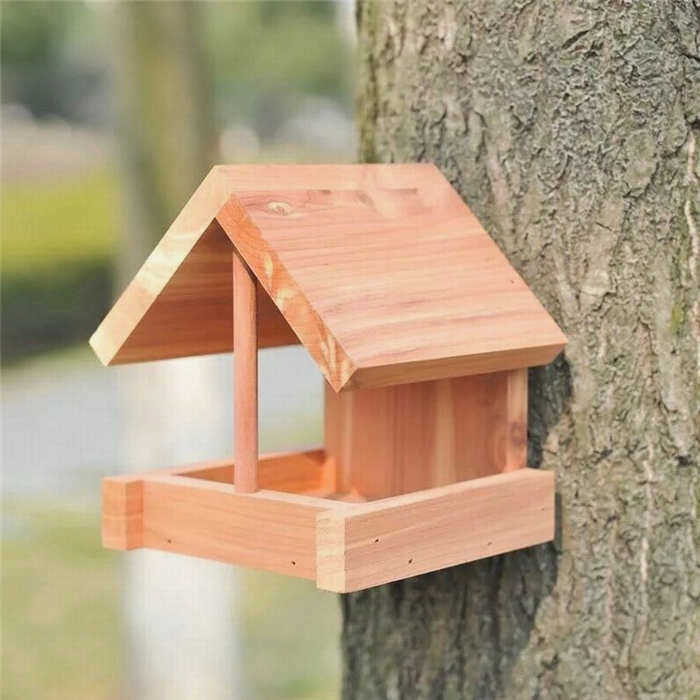 Открытая кормушка для птиц