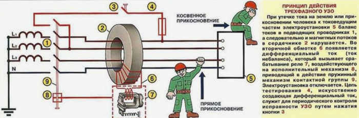 изображение1.jpg